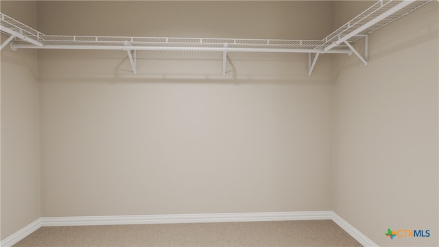 walk in closet featuring carpet flooring