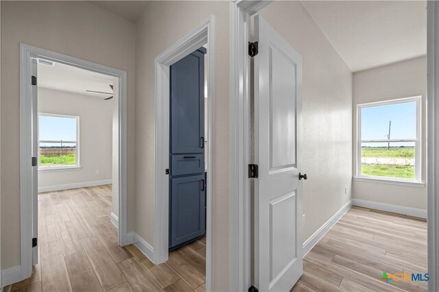 1811 Ember Dr, Temple, TX 76502 - corridor featuring light wood-type flooring and healthy amount of natural light
