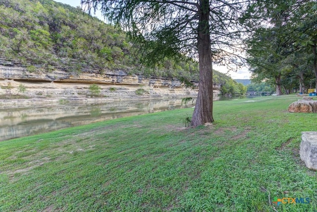 540 River Run Unit 204, New Braunfels, TX 78132 - view of grassy yard with a water and mountain view