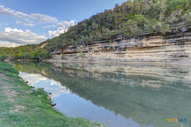 540 River Run Unit 204, New Braunfels, TX 78132 - water view featuring a forest
