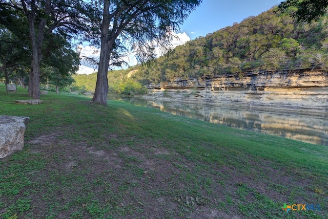 view of yard with a water and mountain view