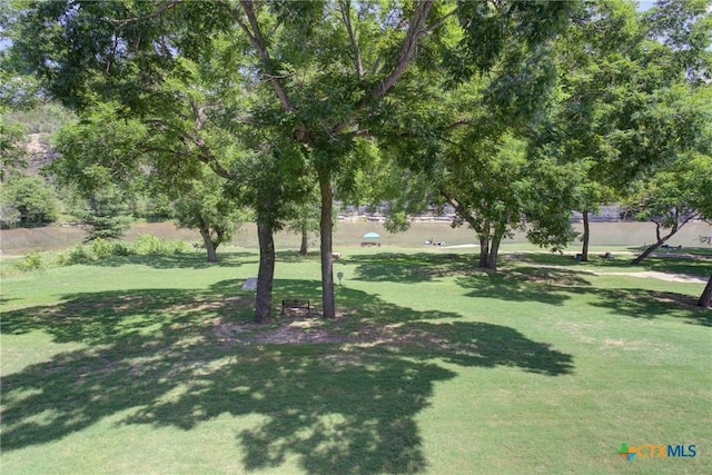 540 River Run Unit 204, New Braunfels, TX 78132 - view of grassy yard