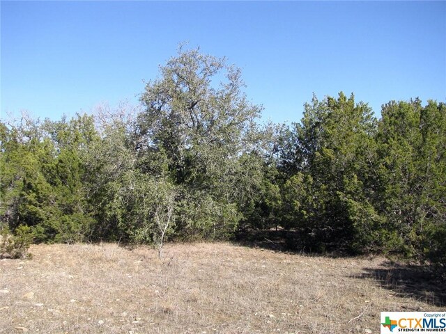 LOT3PH6 County Road 421, Evant, TX 76525 - photo 14