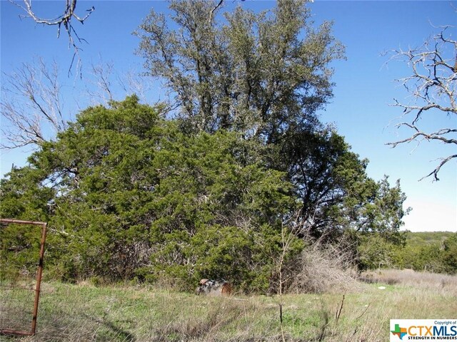 LOT3PH6 County Road 421, Evant, TX 76525 - photo 22