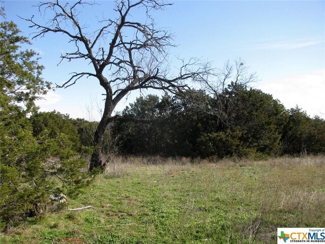 LOT3PH6 County Road 421, Evant, TX 76525 - photo 5