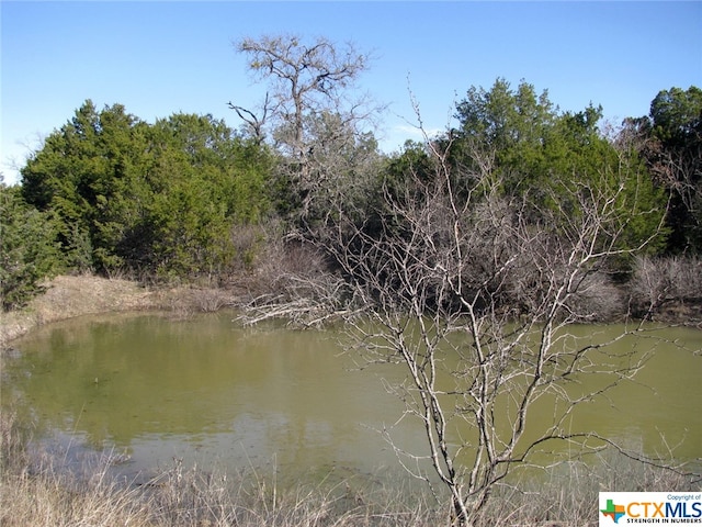 LOT3PH6 County Road 421, Evant TX, 76525 land for sale