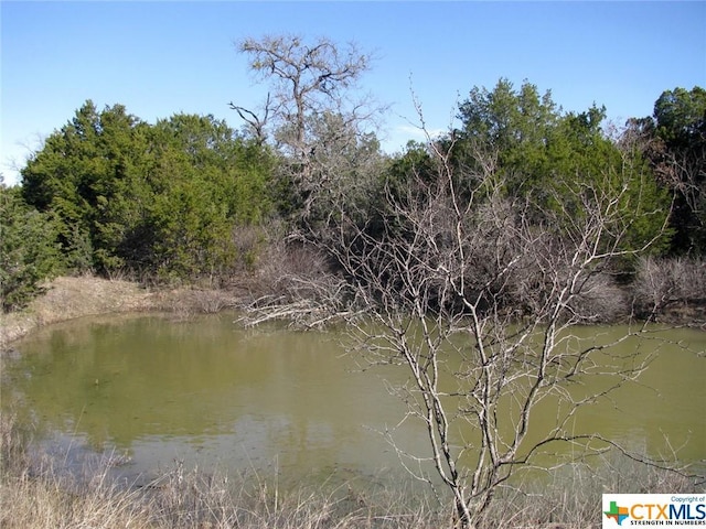 LOT3PH6 County Road 421, Evant, TX 76525 - photo 1