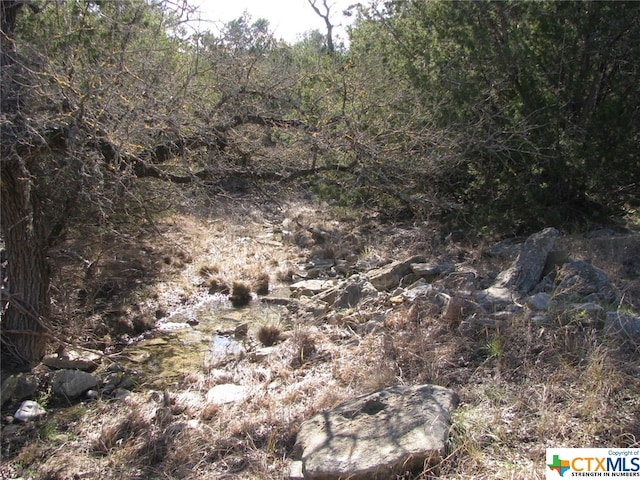 Listing photo 3 for LOT3PH6 County Road 421, Evant TX 76525