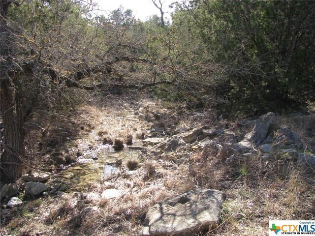 LOT3PH6 County Road 421, Evant, TX 76525 - photo 3
