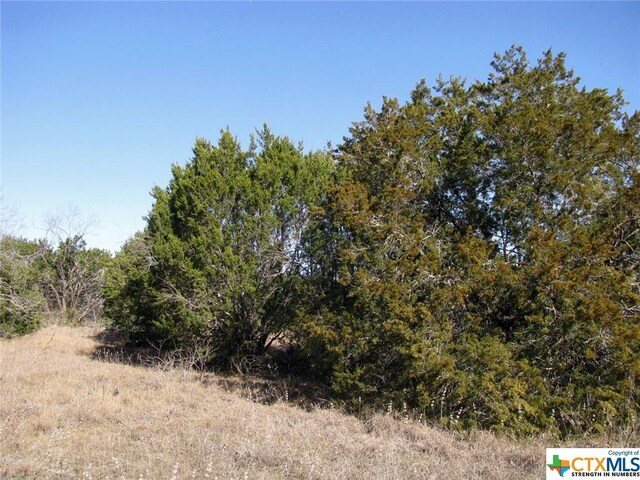LOT3PH6 County Road 421, Evant, TX 76525 - photo 11