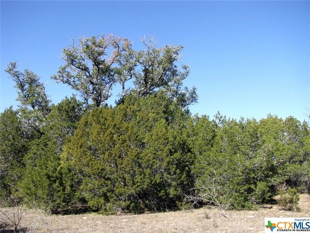 LOT3PH6 County Road 421, Evant, TX 76525 - photo 15