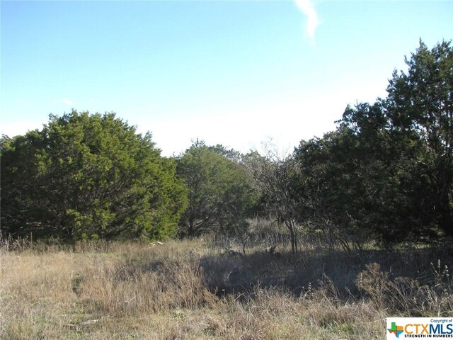 LOT3PH6 County Road 421, Evant, TX 76525 - photo 6
