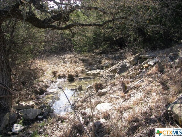 LOT3PH6 County Road 421, Evant, TX 76525 - photo 13