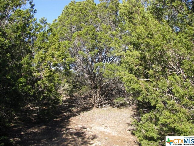 LOT3PH6 County Road 421, Evant, TX 76525 - photo 16