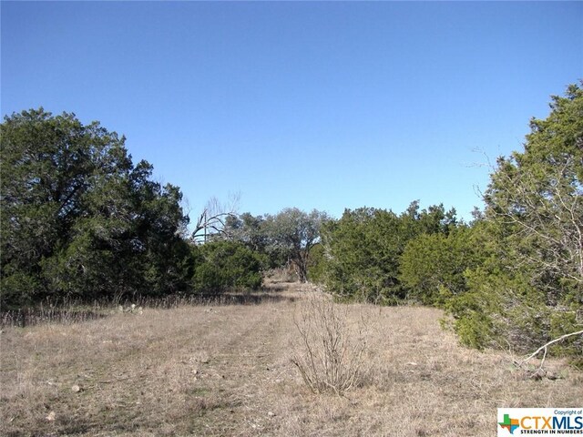 LOT3PH6 County Road 421, Evant, TX 76525 - photo 17