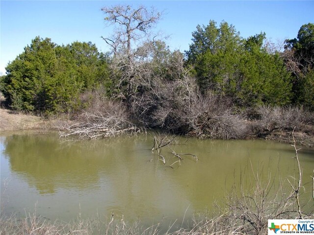 LOT3PH6 County Road 421, Evant, TX 76525 - photo 8