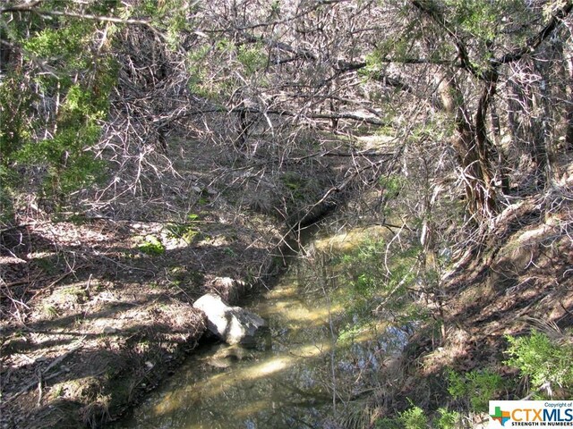 LOT3PH6 County Road 421, Evant, TX 76525 - photo 4