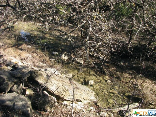 LOT3PH6 County Road 421, Evant, TX 76525 - photo 12