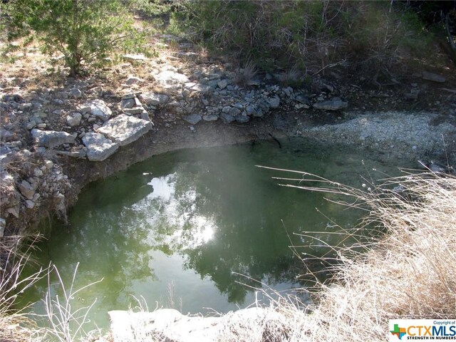 LOT3PH6 County Road 421, Evant, TX 76525 - photo 9