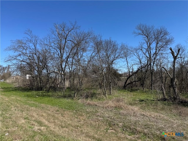 Unk Highway 77, Lott TX, 76656 land for sale