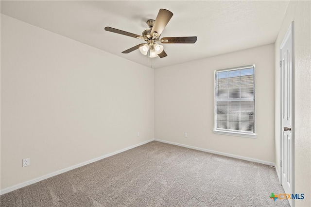 4407 Frontier Trl, Killeen, TX 76542 - photo 15