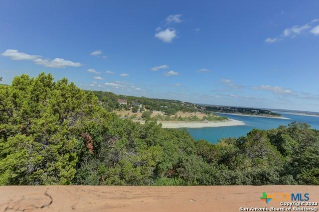 1254 Village Shore Dr, Canyon Lake, TX 78133 - bird's eye view of a large body of water and a heavily wooded area
