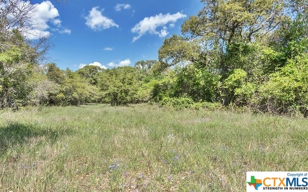 Listing photo 3 for TRACT3 Fm 530, Edna TX 77957