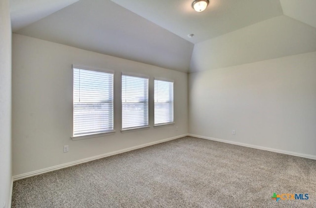 771 Navarro St, New Braunfels, TX 78132 - empty room featuring carpet and vaulted ceiling