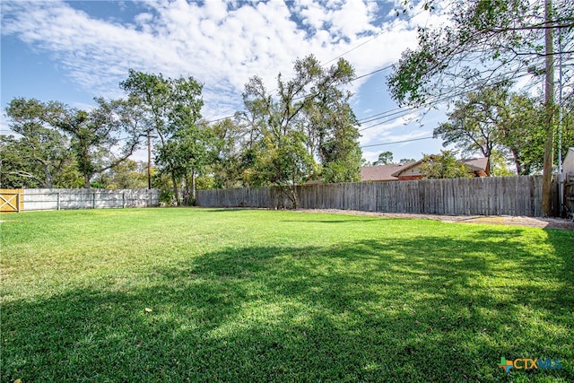 view of yard