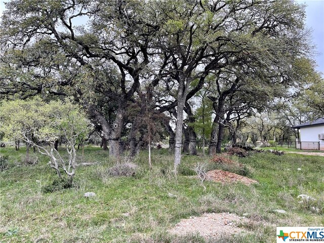 2652 Trophy Pt, New Braunfels, TX 78132 - photo 5