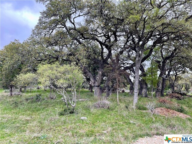 2652 Trophy Pt, New Braunfels, TX 78132 - photo 6