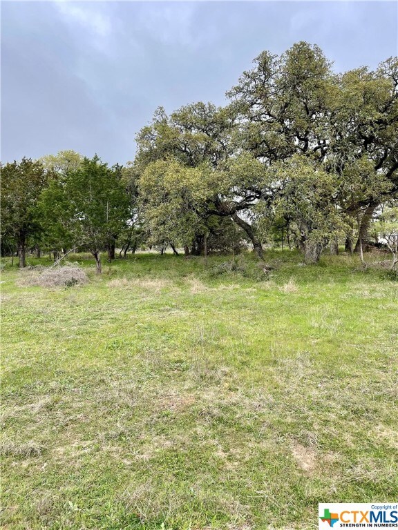 2652 Trophy Pt, New Braunfels, TX 78132 - photo 8