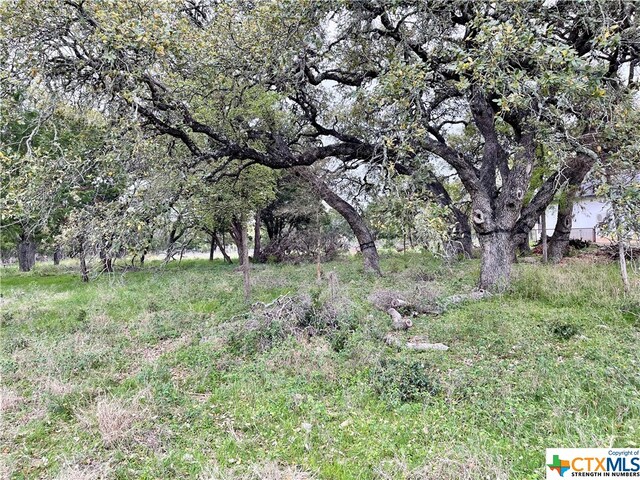 2652 Trophy Pt, New Braunfels, TX 78132 - photo 4