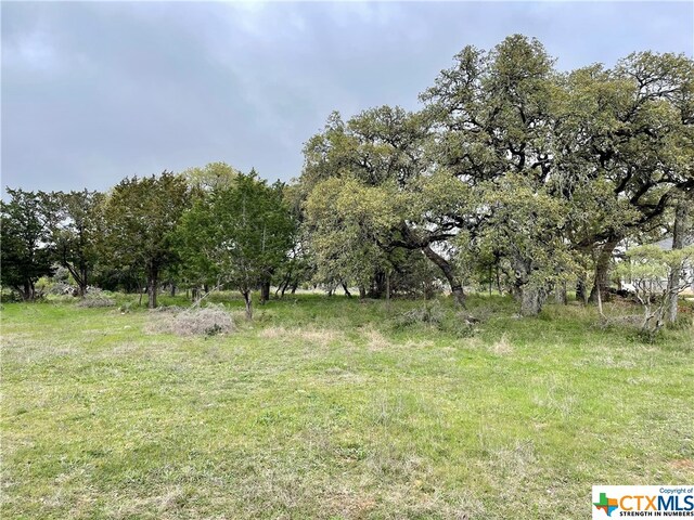 2652 Trophy Pt, New Braunfels, TX 78132 - photo 7