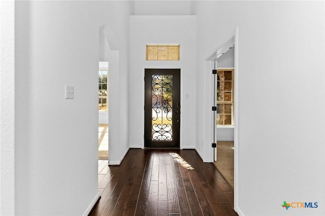 foyer entrance featuring a high ceiling, baseboards, and dark wood-style flooring