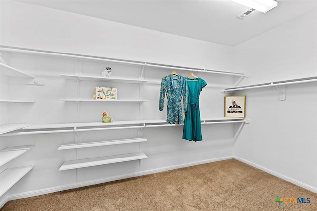 spacious closet with visible vents and carpet flooring