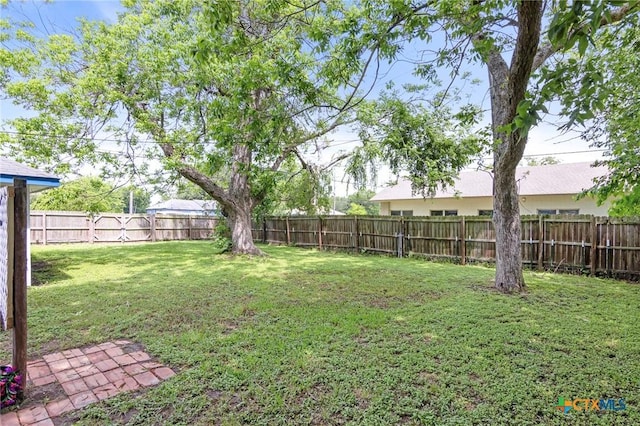 1200 4th St, Palacios, TX 77465 - view of yard