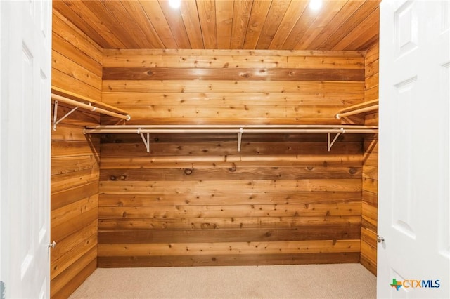 1200 4th St, Palacios, TX 77465 - walk in closet with carpet flooring