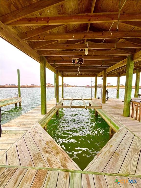 dock area with a water view