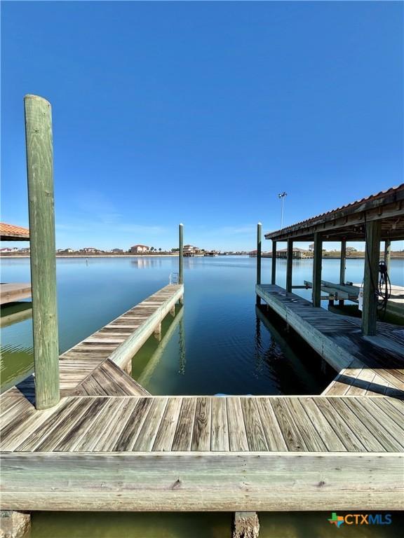 dock area with a water view