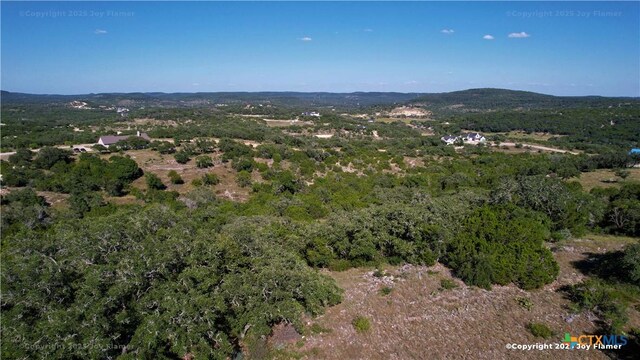 879 Canyon Rim, Helotes, TX 78023 - photo 4