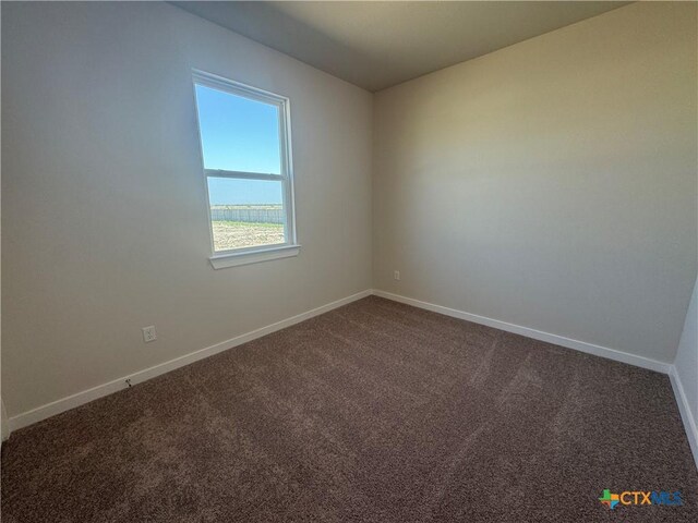 spacious closet featuring carpet flooring