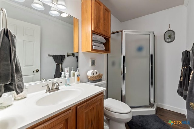 full bathroom featuring toilet, a shower stall, and vanity