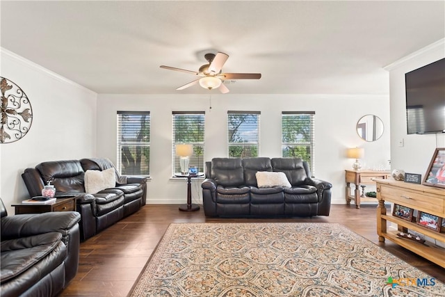 living room with crown molding, a ceiling fan, and wood finished floors