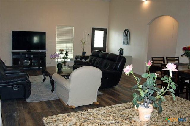 2805 Tumbleweed Trl, Dale, TX 78616 - living area with arched walkways and wood finished floors
