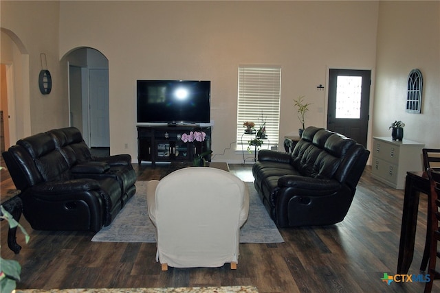 living room featuring a high ceiling and dark hardwood / wood-style floors