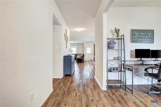 hallway featuring wood-type flooring