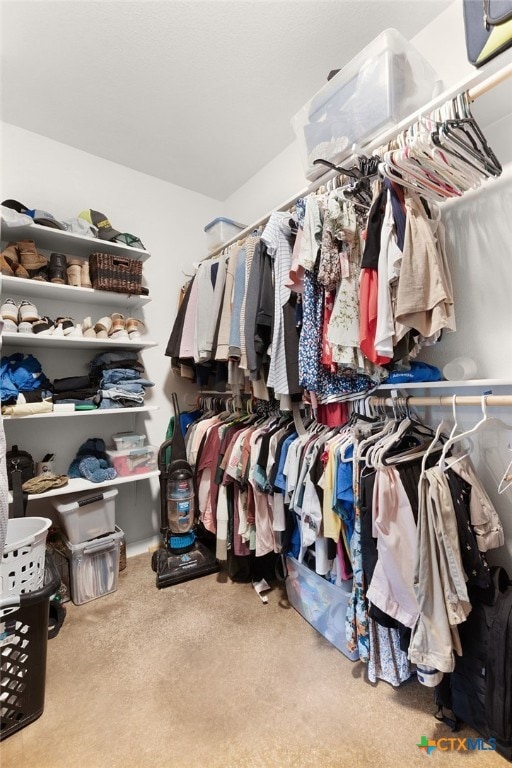 walk in closet with carpet flooring