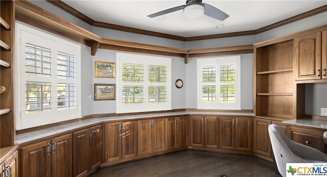 interior space featuring ceiling fan, dark hardwood / wood-style flooring, and crown molding