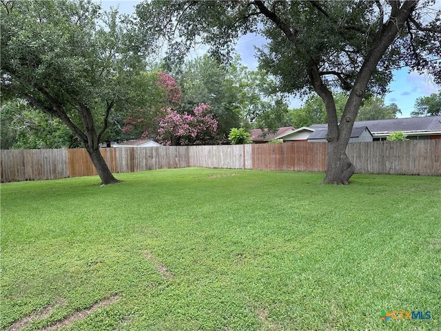 2303 Bon Aire Ave, Victoria, TX 77901 - view of fenced backyard